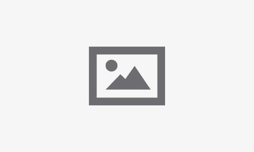 10 Best Shopify SEO Tools Every eCommerce Needs To Optimise The Store